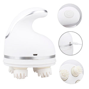 Multi-functional Pet Massager